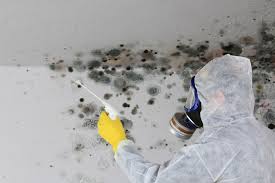 Best Residential Mold Inspection & Testing in USA